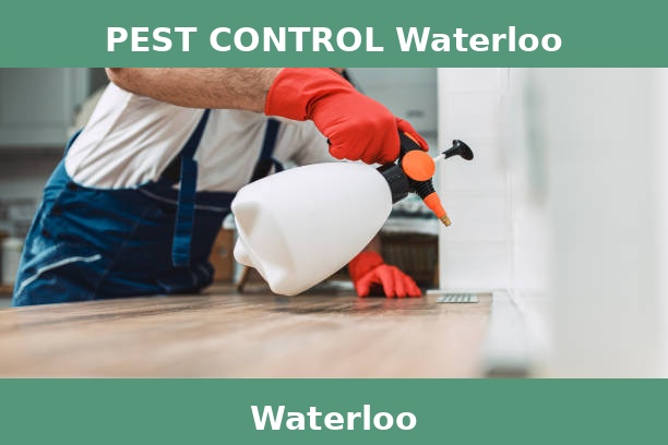PEST CONTROL Waterloo